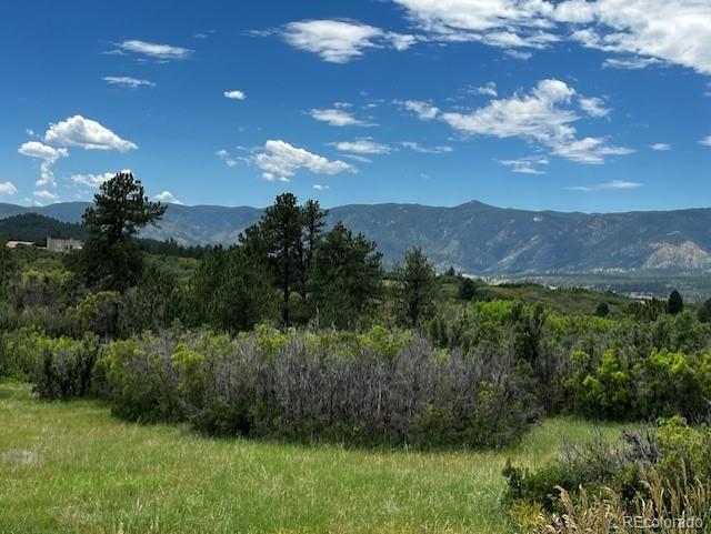 6319 Balsamroot Road Larkspur, CO 80118 - Photo 2 of 5 Gallery Image 2