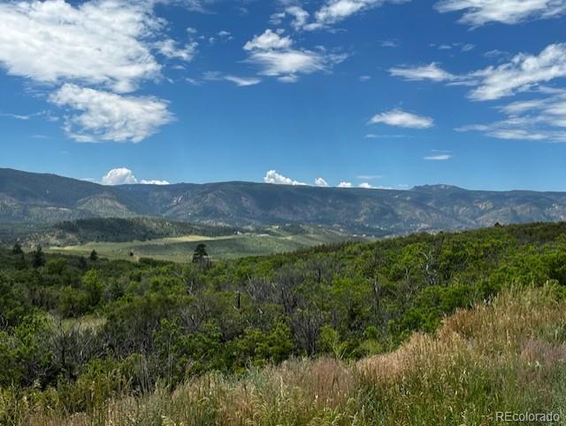 6319 Balsamroot Road Larkspur, CO 80118 - Photo 3 of 5 Gallery Image 3