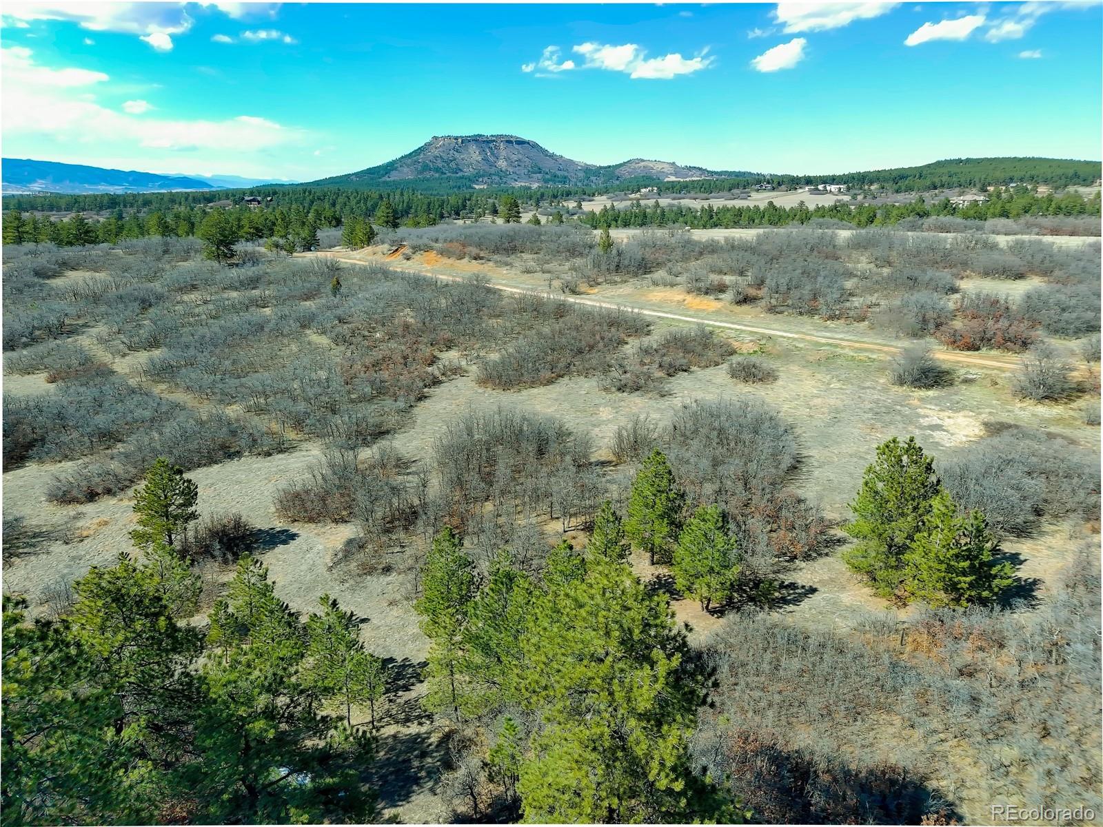 6319 Balsamroot Road Larkspur, CO 80118 - Photo 4 of 5 Gallery Image 4