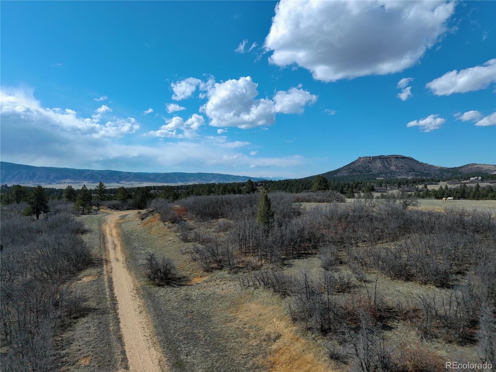 6319 Balsamroot Road Larkspur, CO 80118 - Photo 5 of 5 Gallery Image 5