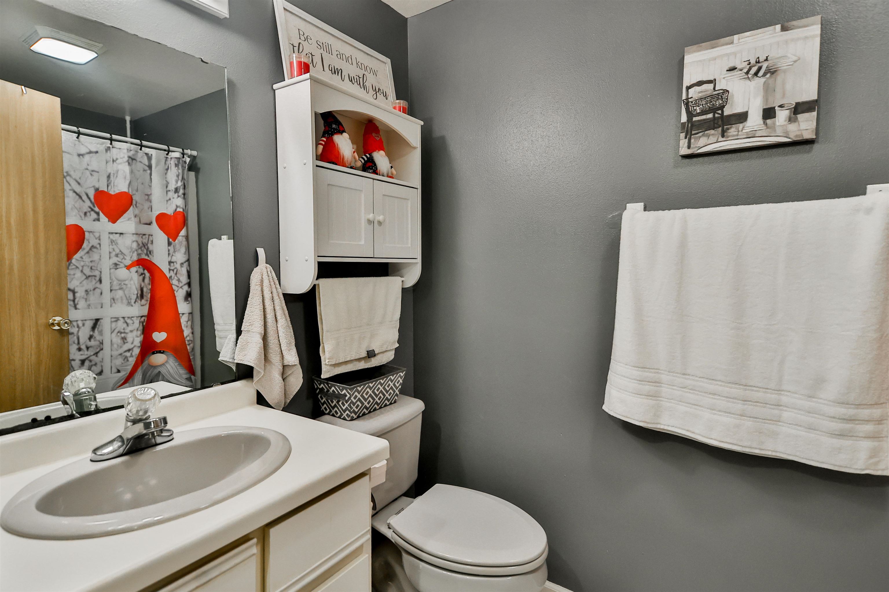 155 Lamplighter Loop Southeast Poplar Grove, IL 61065 - Photo 12 of 31 a bathroom with a toilet a sink and a mirror