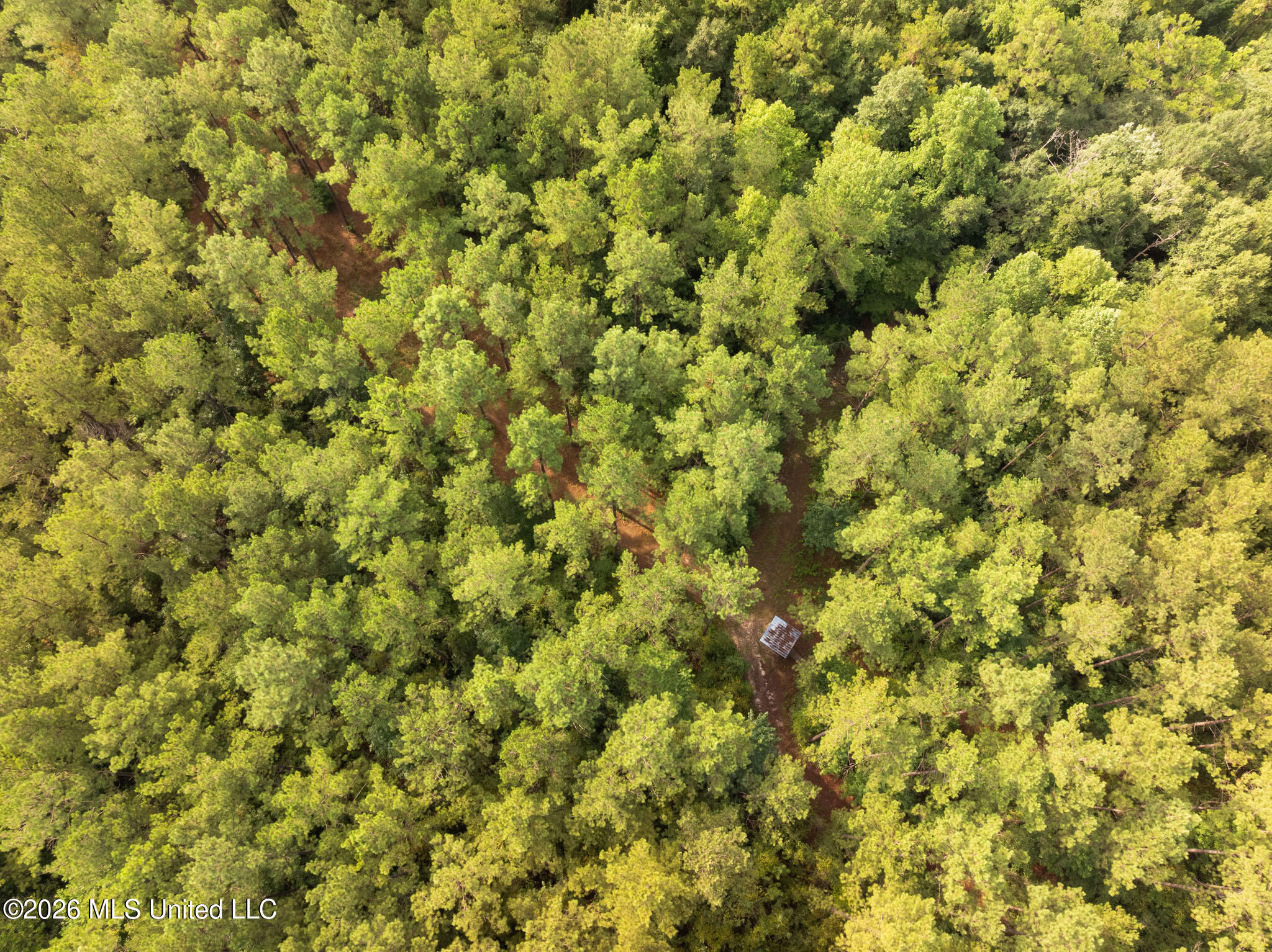 Lowe Road Lumberton, MS 39455 - Photo 7 of 18 80-Lamar-Arthur-Lowe-Rd-106