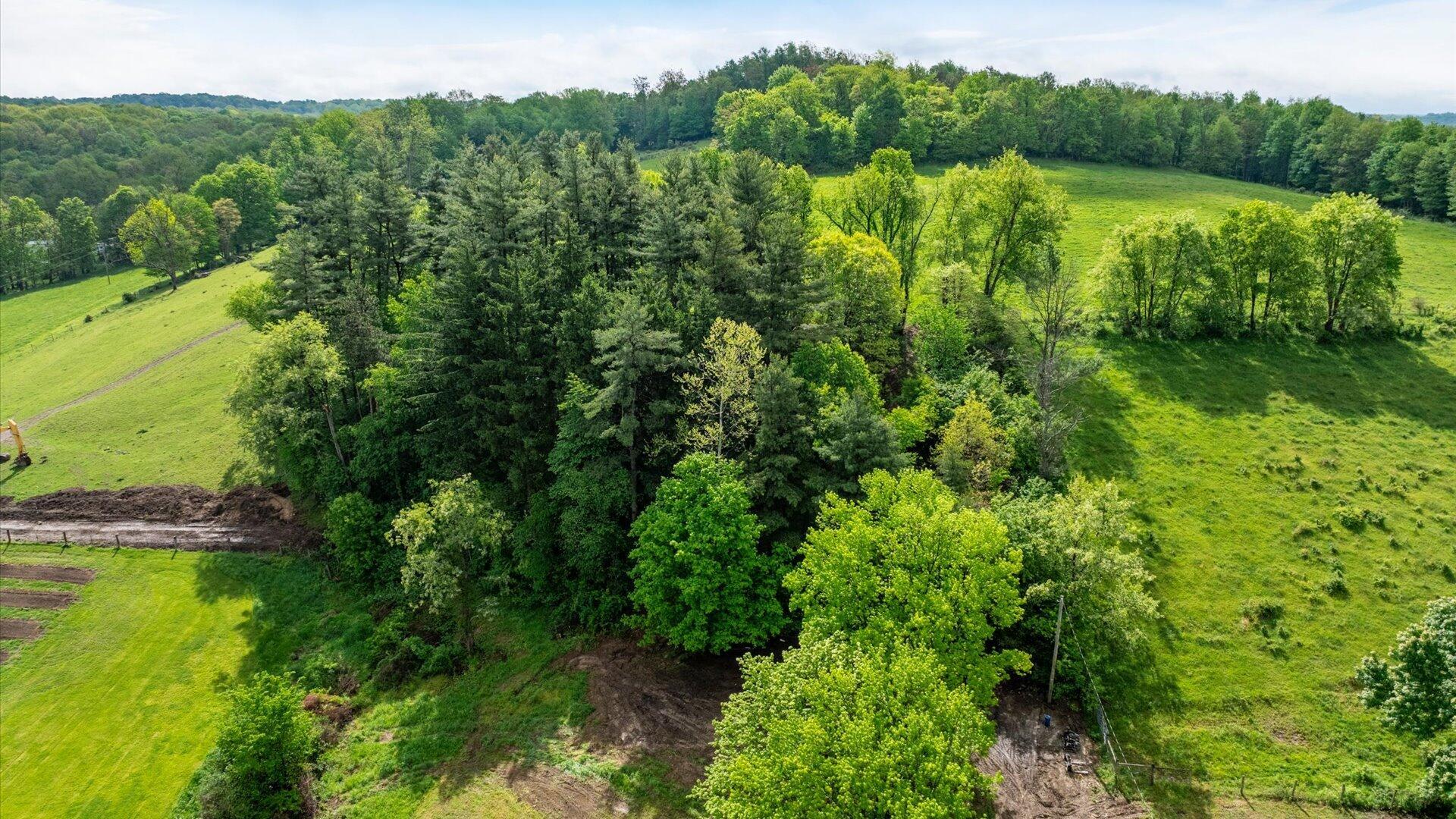 13924 George Ice Road Glenford, OH 43739 - Photo 28 of 31 31-z 13924 George 028