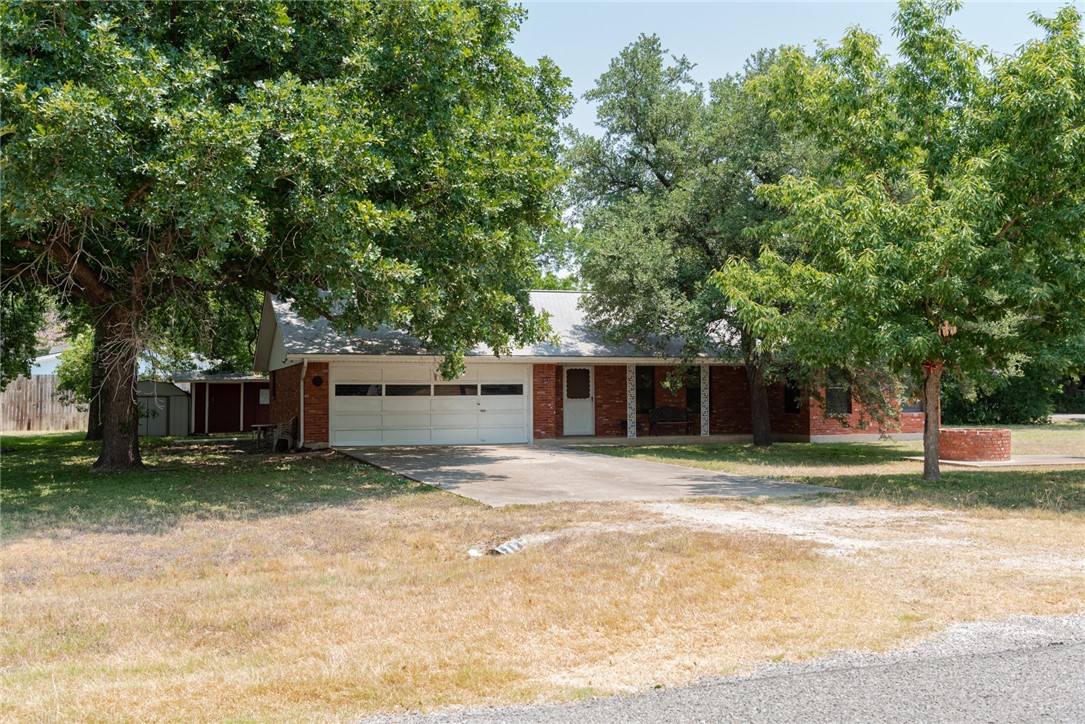 101 Jonah Loop Georgetown, TX 78626 - Photo 1 of 1 a view of a house with a yard and large tree