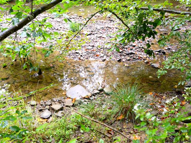 2317 Jackson Run Road Warren, PA 16365 - Photo 29 of 32 Gallery Image 29