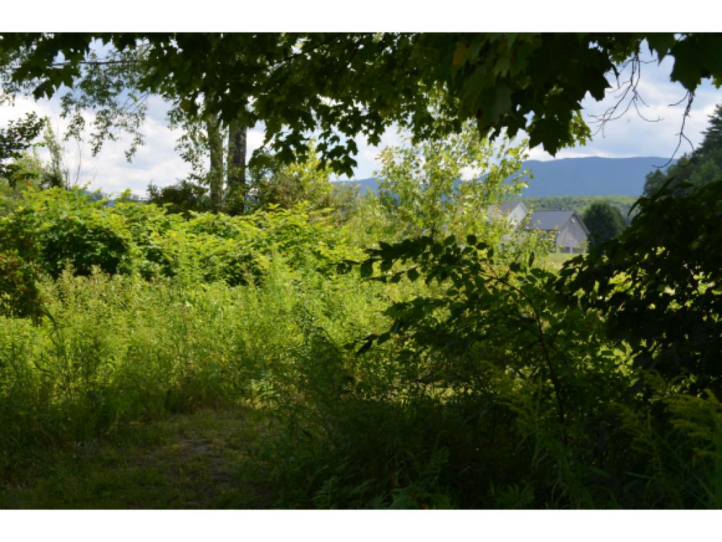 330 Adams Mill Road, Unit 1 Stowe, VT 05672 - Photo 23 of 29 Gallery Image 23