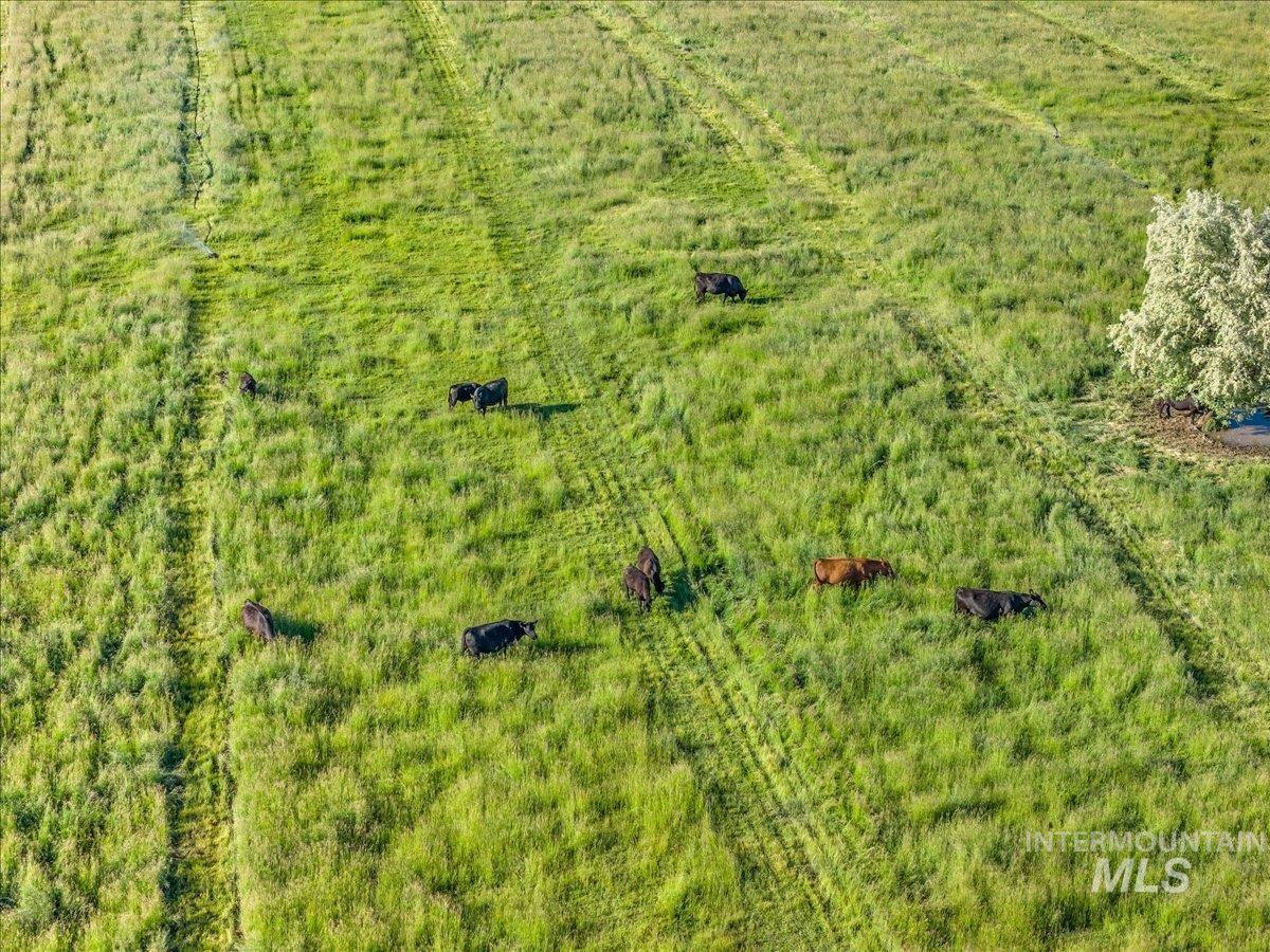 Parcel-1 Parcel-1 Wilder, ID 83676 - Photo 2 of 18