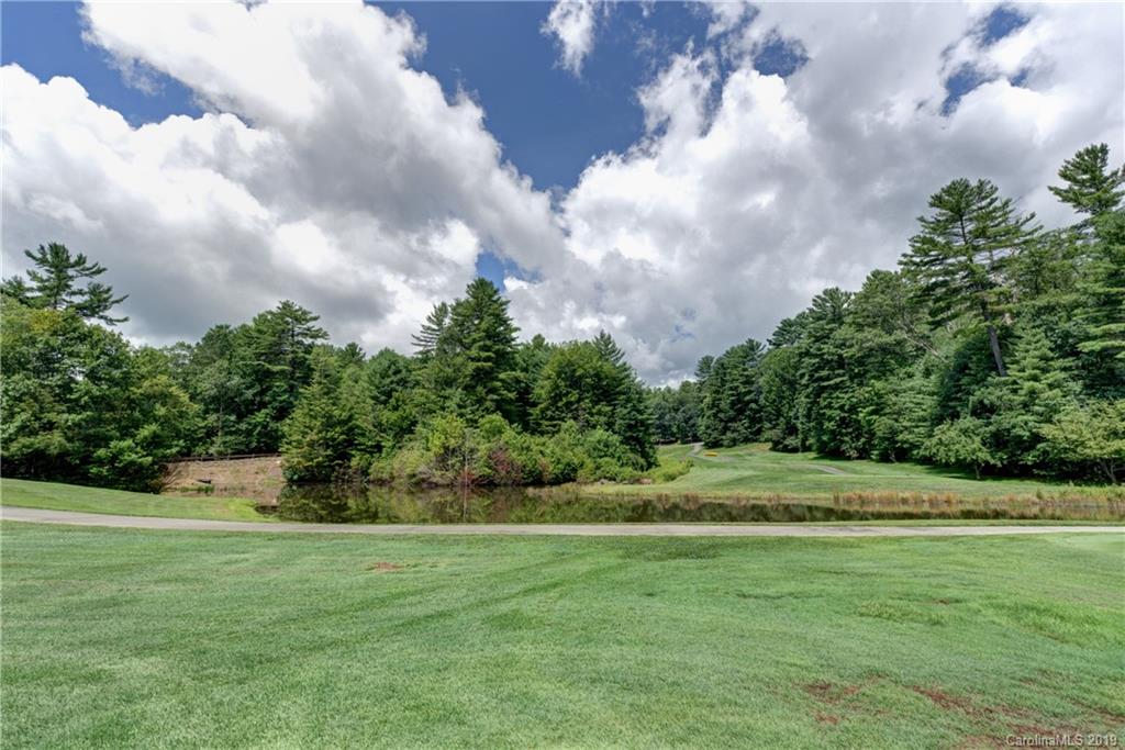 172 Rushing Spring Lane, Unit 19 Sapphire, NC 28774 - Photo 6 of 8 Gallery Image 6
