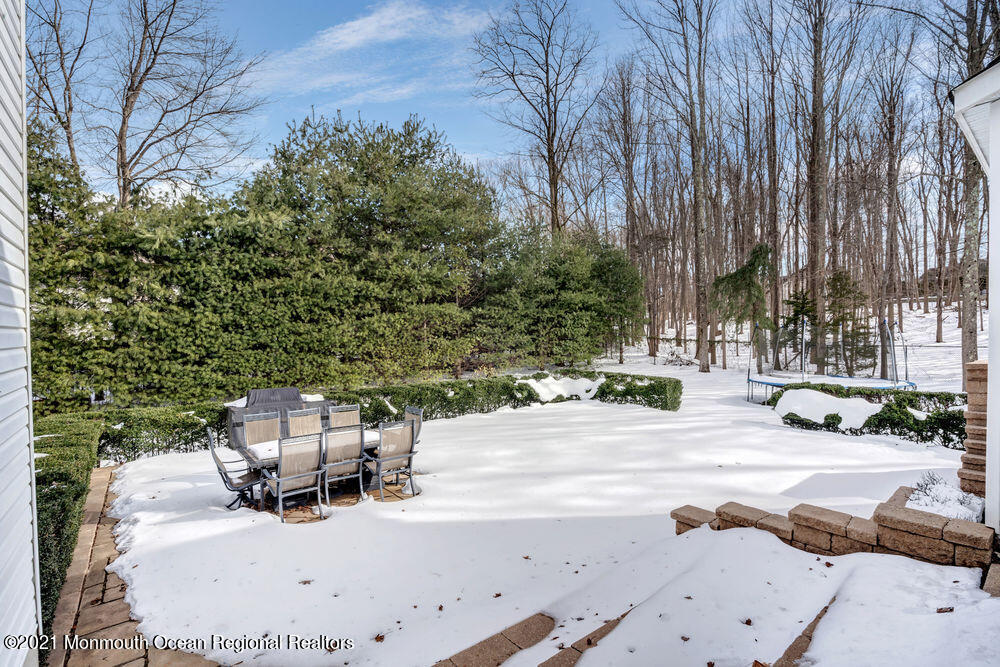 51 Crine Road Morganville, NJ 07751 - Photo 50 of 59 058_ros01671