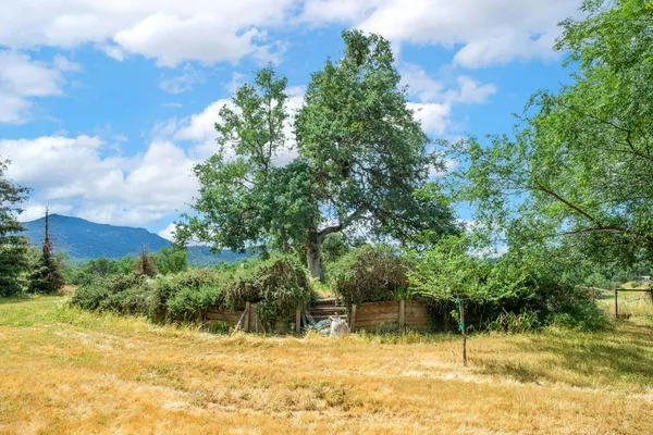 a view of a garden with a house in the background