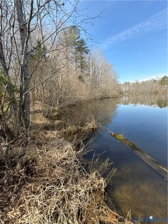 a view of a lake in between two trees