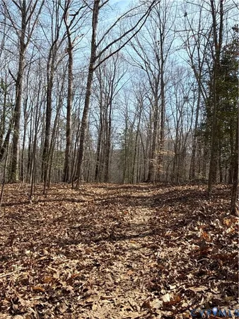 a view of a backyard of the house