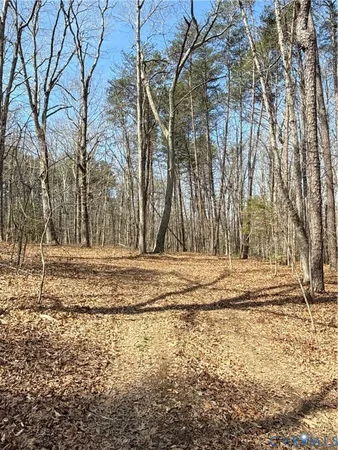 a view of outdoor space with lots of trees