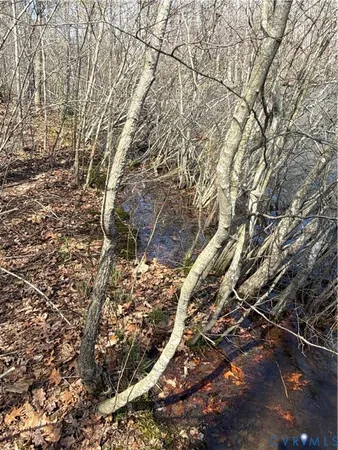 a view of water covered with fog