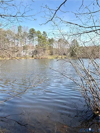 a view of empty space with large trees