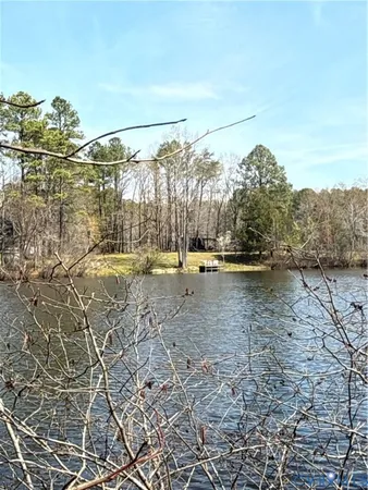a picture of tree