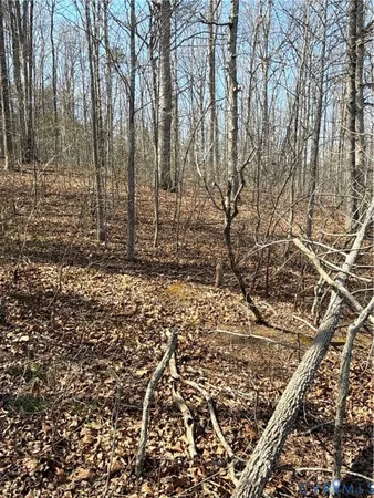 $299,500 | 0 Beaver Creek Drive, Montpelier, VA 23192