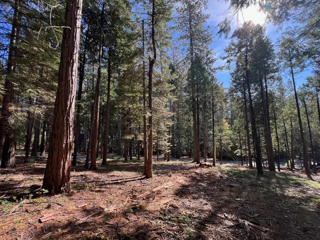 $43,500 | 646 Dean Way, Arnold, CA 95223