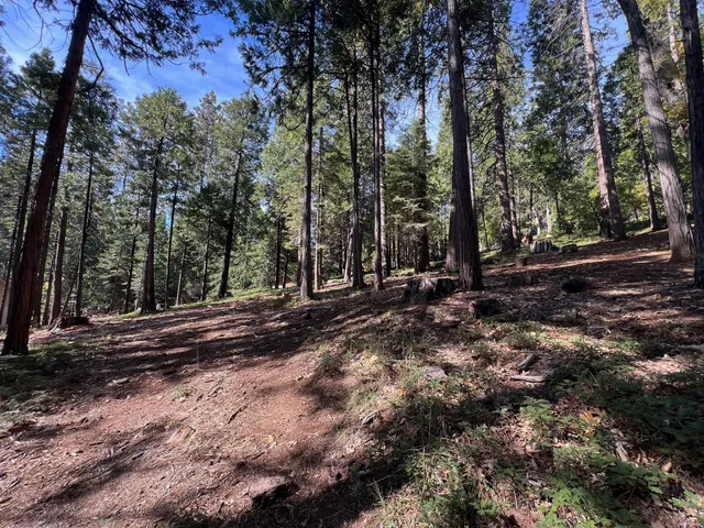 $43,500 | 646 Dean Way, Arnold, CA 95223