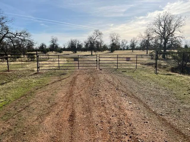 a view of a yard with wooden fence
