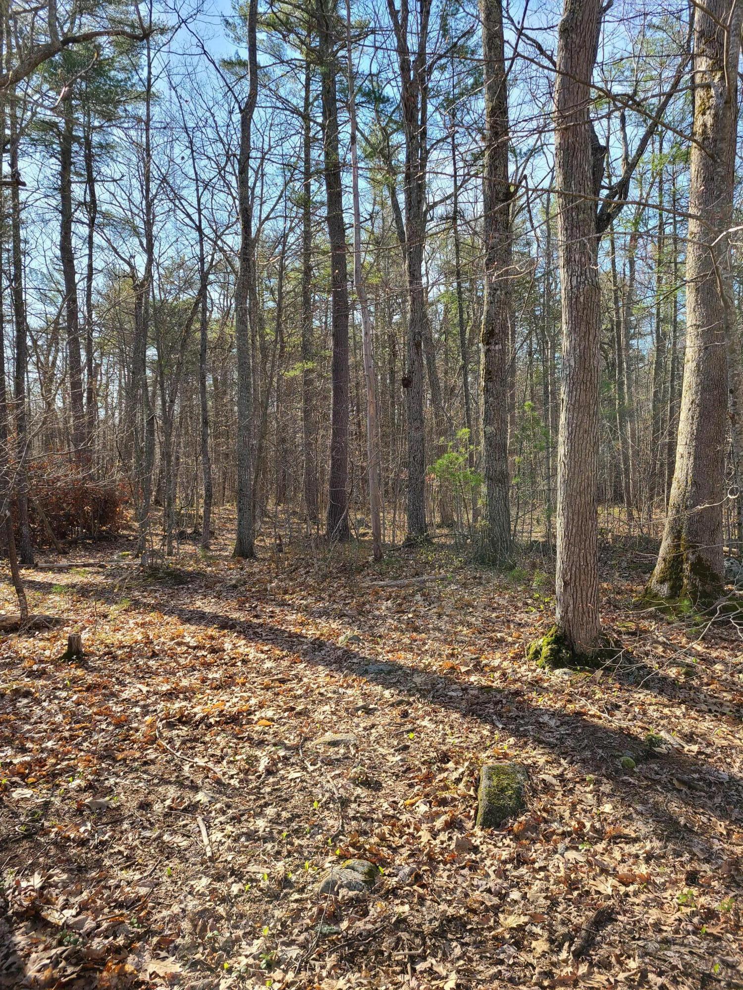 Lot A Shore Road Raymond, ME 04071 - Photo 2 of 4 20220502_082048