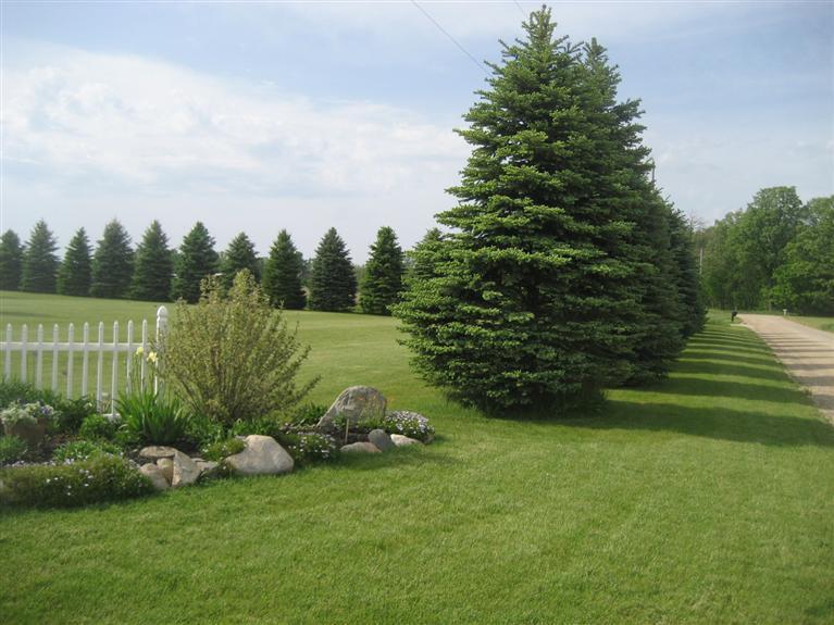 6647 Barber Road Hastings, MI 49058 - Photo 13 of 21 Additional Photo
