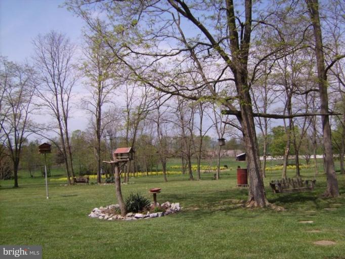 15009 Hicksville Road Clear Spring, MD 21722 - Photo 6 of 27 Back yard
