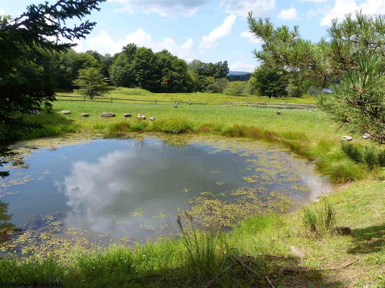 3107 Timberline Road Davis, WV 26260 - Photo 19 of 20 Gallery Image 19