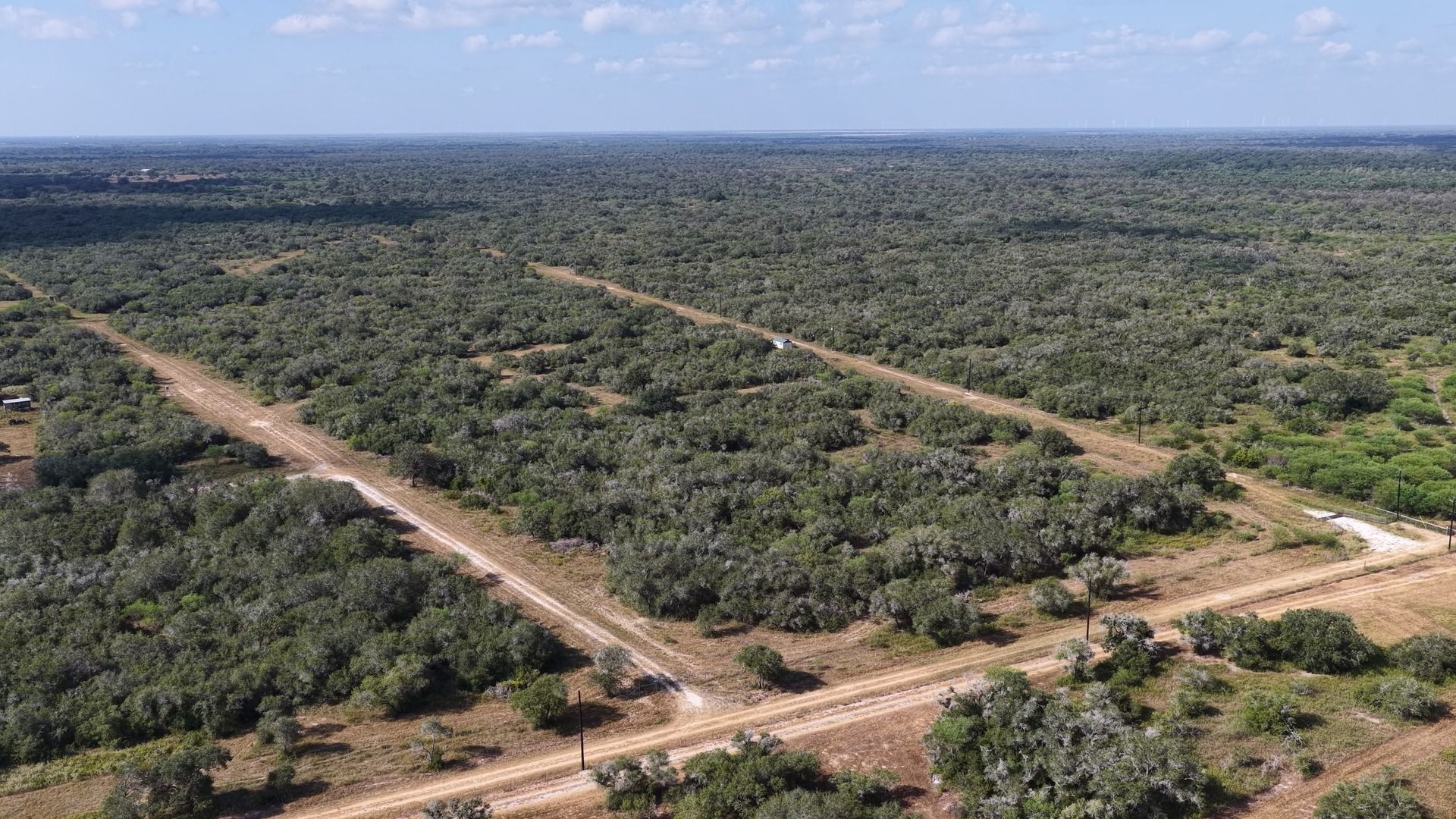 251 Old Goliad Road Refugio, TX 78377 - Photo 22 of 40 Mature trees and unpaved pathways stretch across a vast countryside under blue skies.