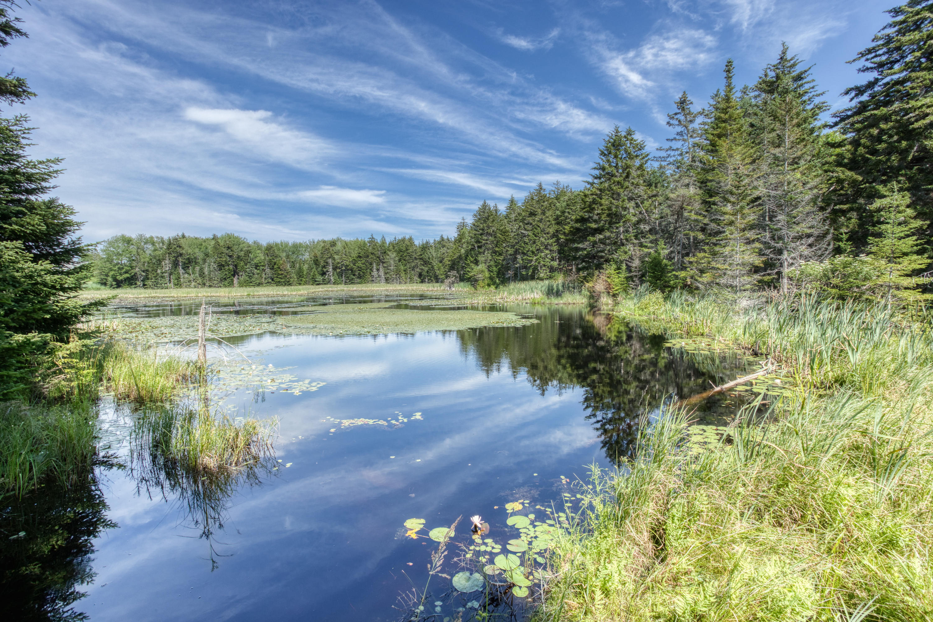 225 Shore Road East Boothbay, ME 04544 - Photo 26 of 28 26