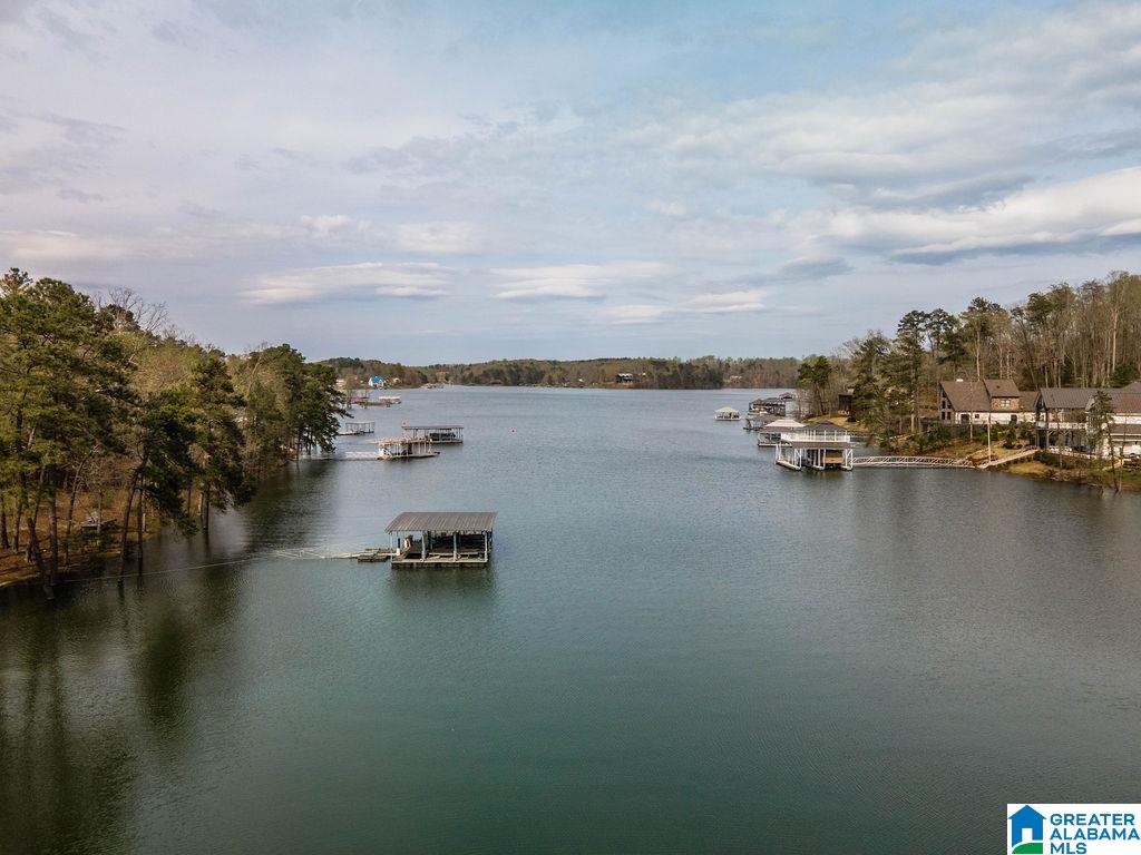 Smith Lake Dam Road Jasper, AL 35504 - Photo 15 of 15