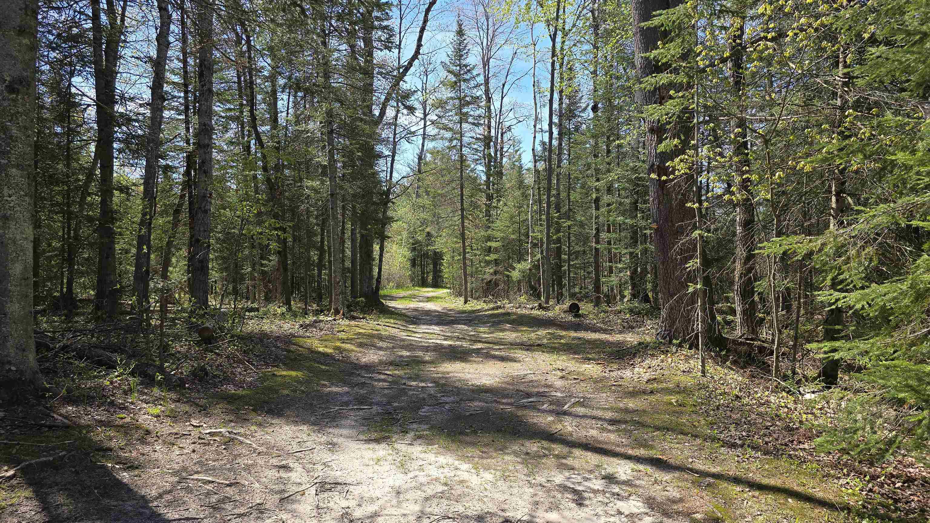 0 Lund Road Southwest Fife Lake, MI 49633 - Photo 10 of 39