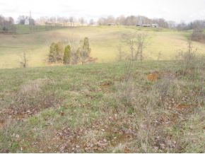 8 Yellow Springs Road, Unit 8 Abingdon, VA 24210 - Photo 1 of 2 Photo 1