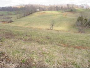 8 Yellow Springs Road, Unit 8 Abingdon, VA 24210 - Photo 2 of 2 Photo 2