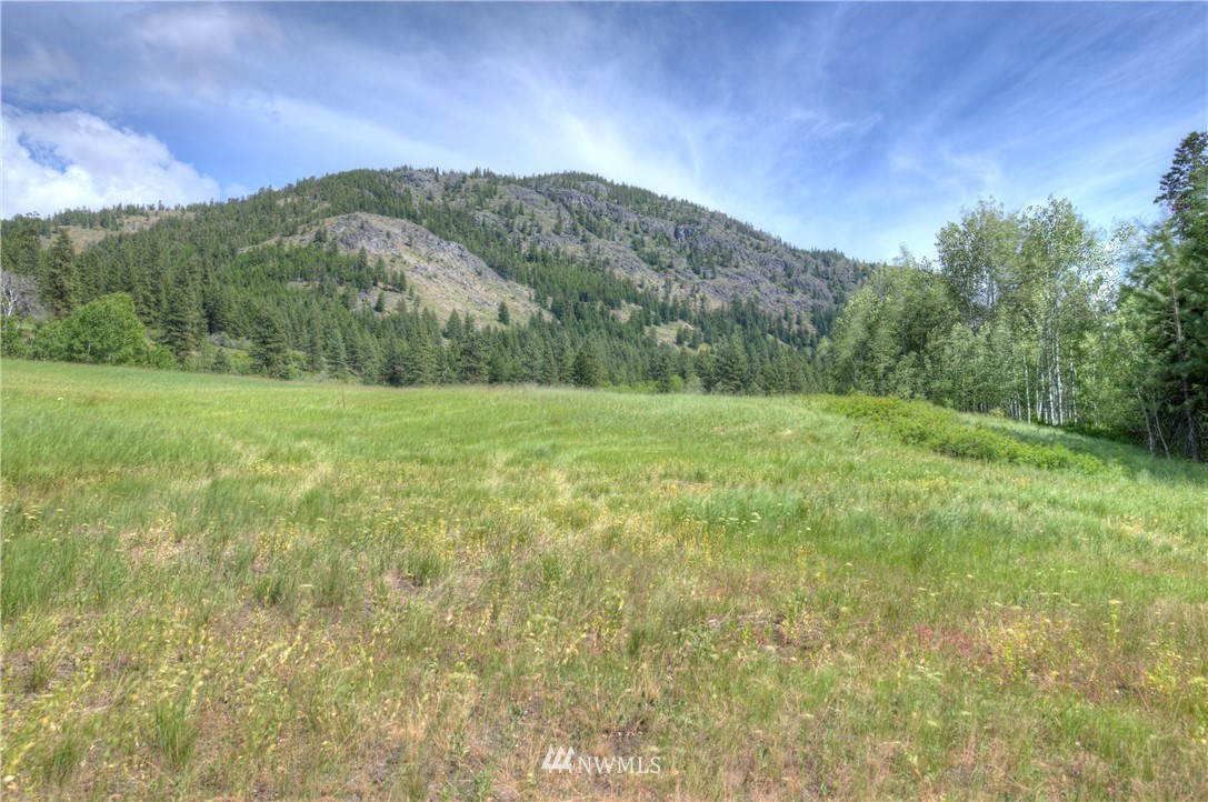 75 Homestead Road Winthrop, WA 98862 - Photo 2 of 39