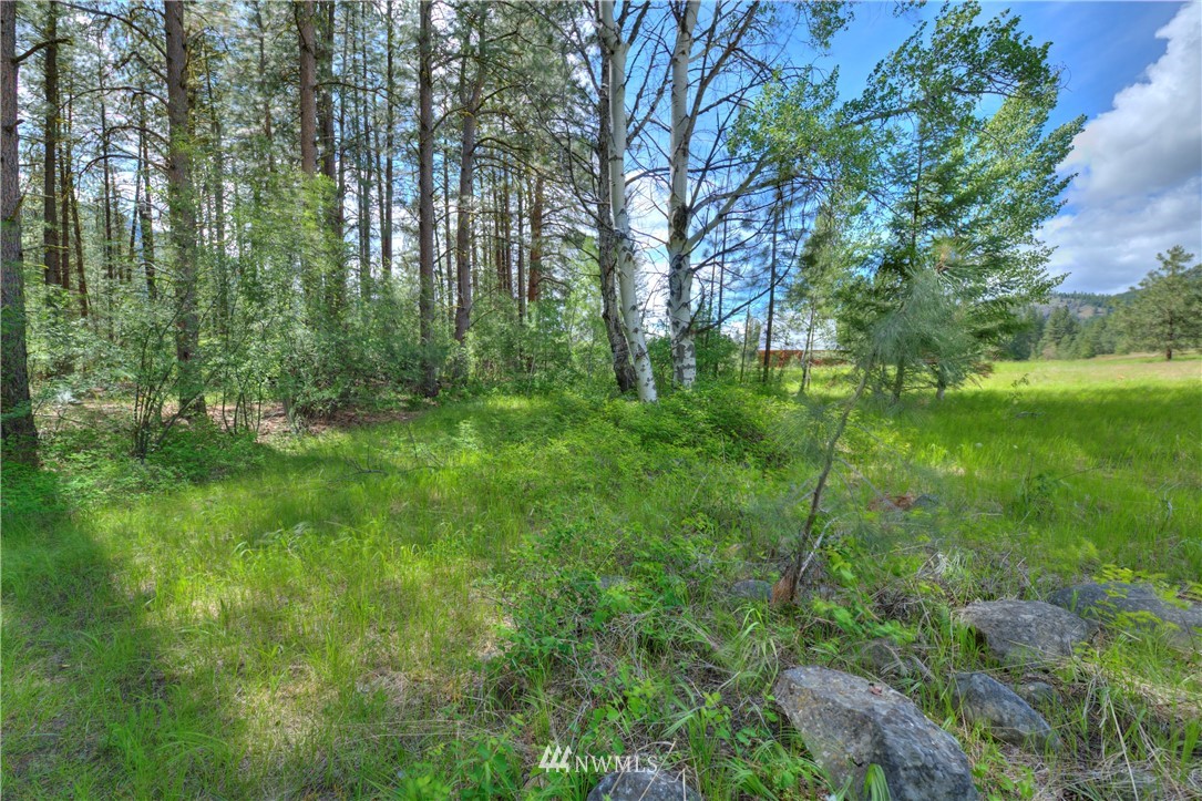75 Homestead Road Winthrop, WA 98862 - Photo 11 of 39