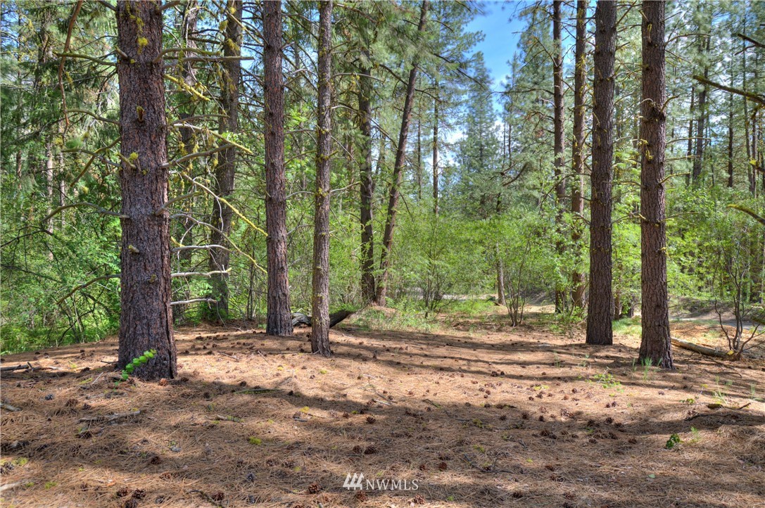 75 Homestead Road Winthrop, WA 98862 - Photo 18 of 39