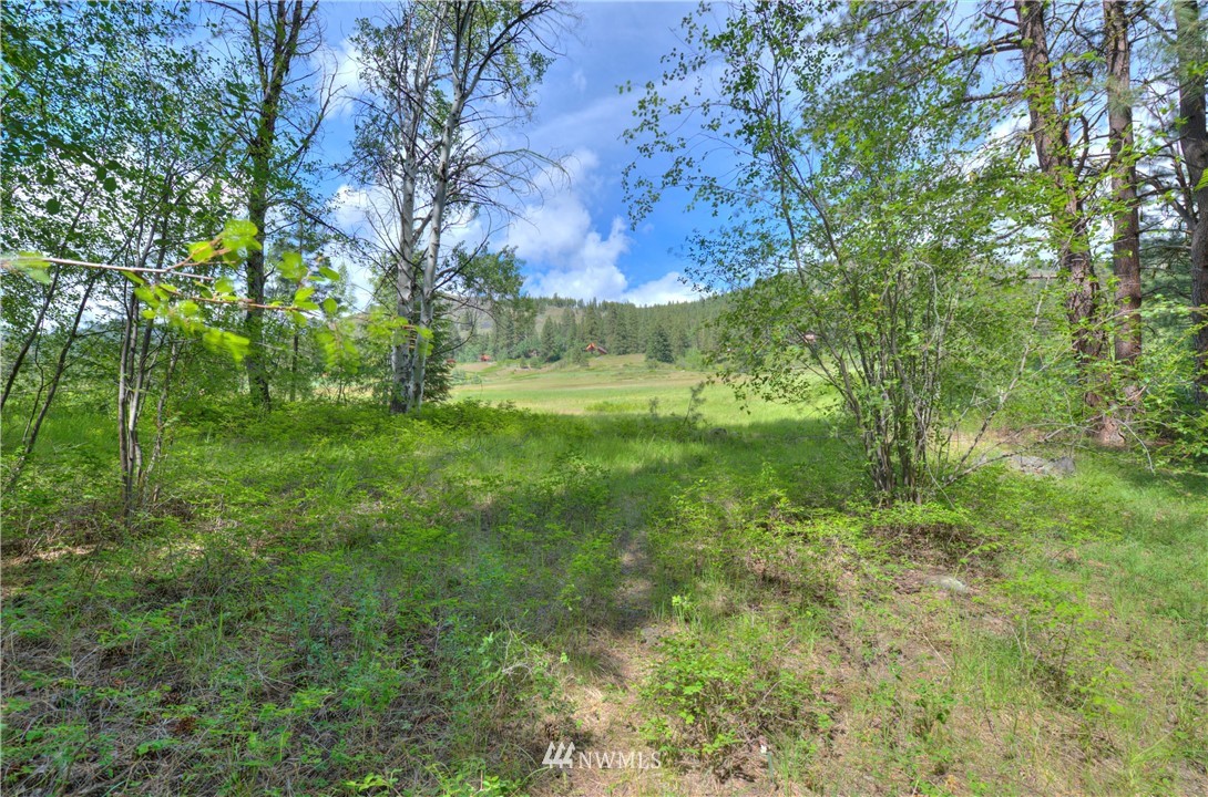 75 Homestead Road Winthrop, WA 98862 - Photo 4 of 39