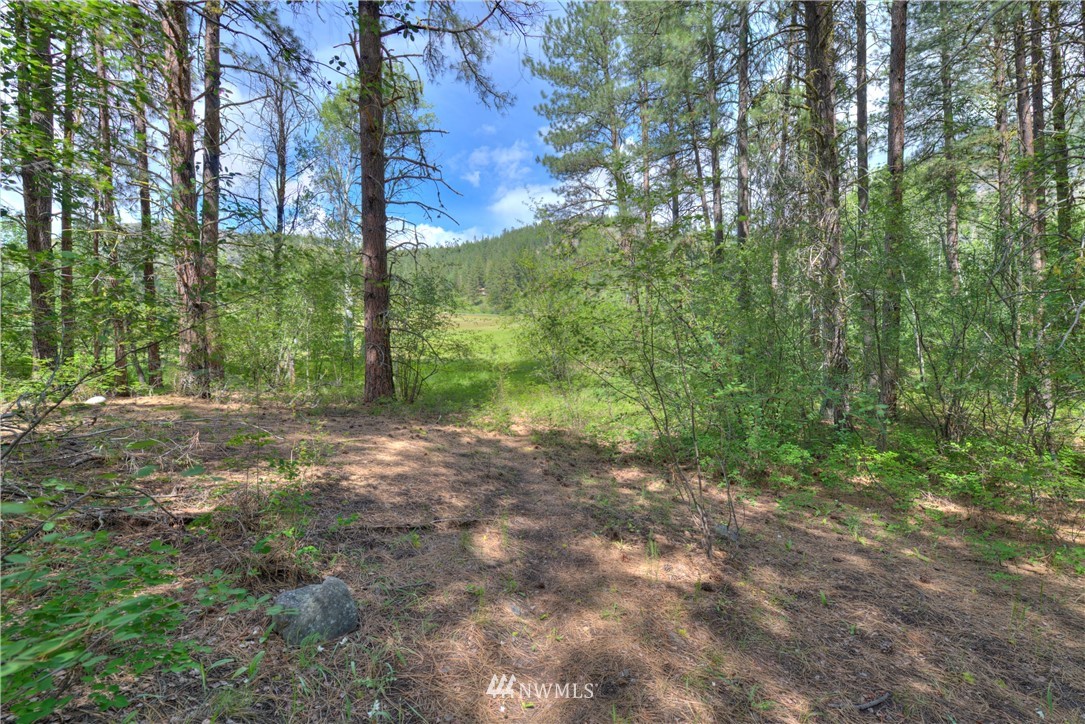 75 Homestead Road Winthrop, WA 98862 - Photo 8 of 39
