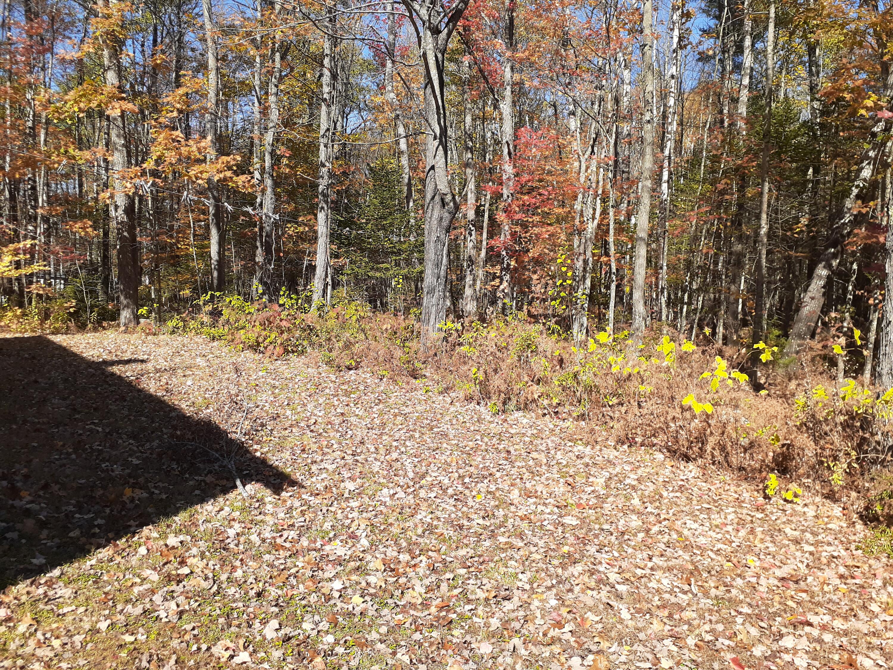 197 East Andover Road Andover, ME 04226 - Photo 7 of 48 20201012_124618