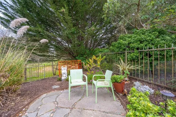 a backyard of a house with lots of green space and plants