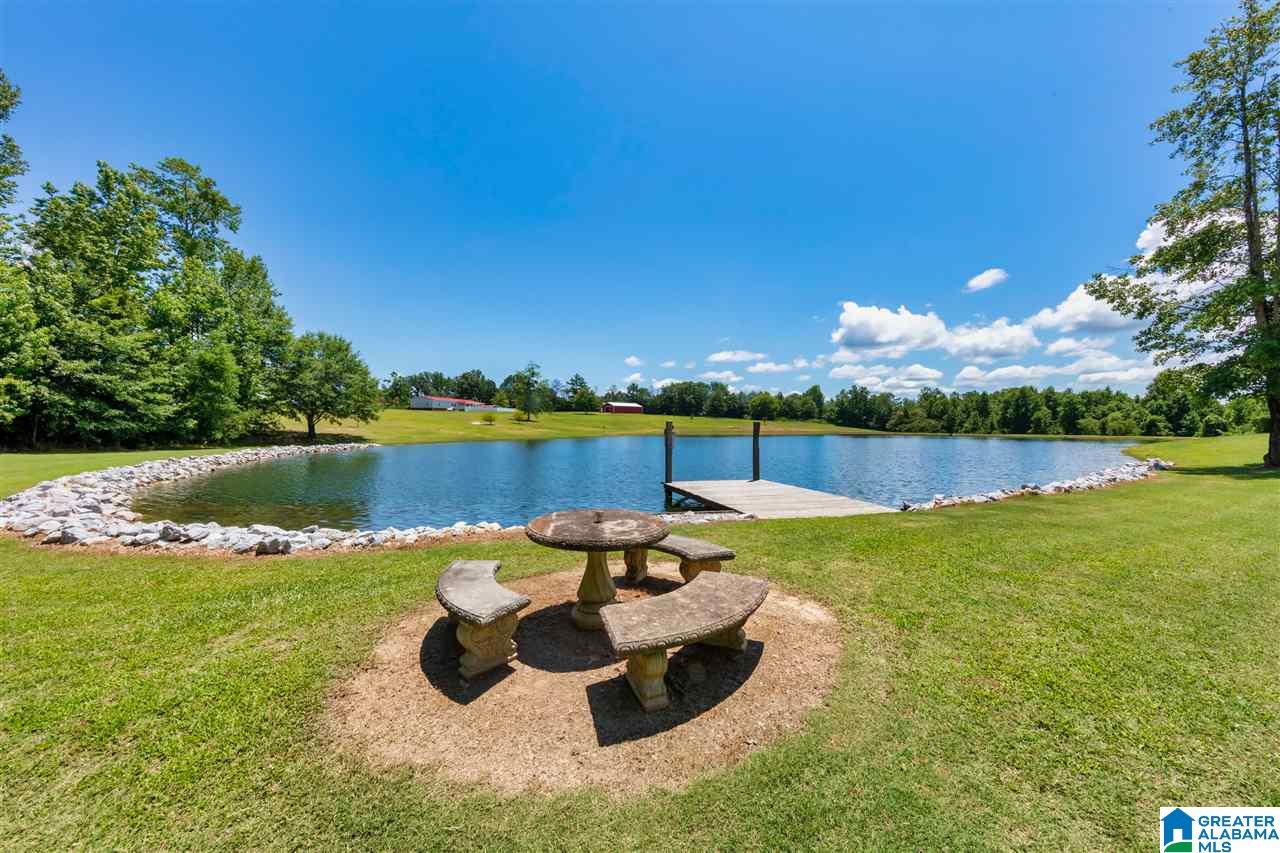 1210 County Road 97 Verbena, AL 36091 - Photo 16 of 50