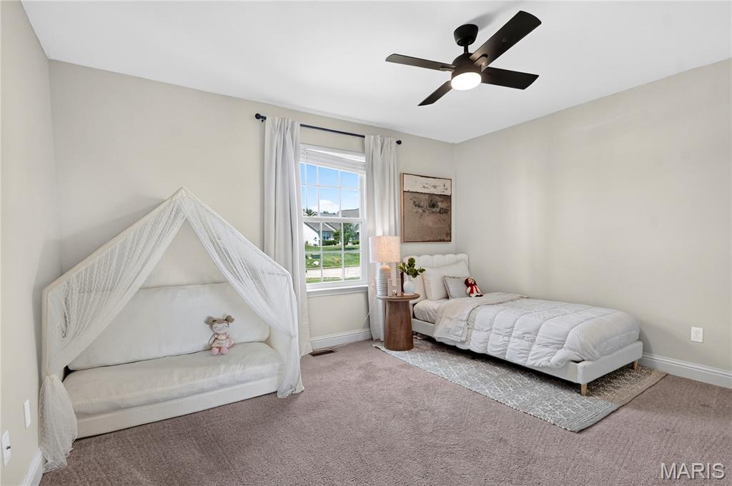 808 Autumn Rise Lane Columbia, IL 62236 - Photo 17 of 32 Gallery Image 17