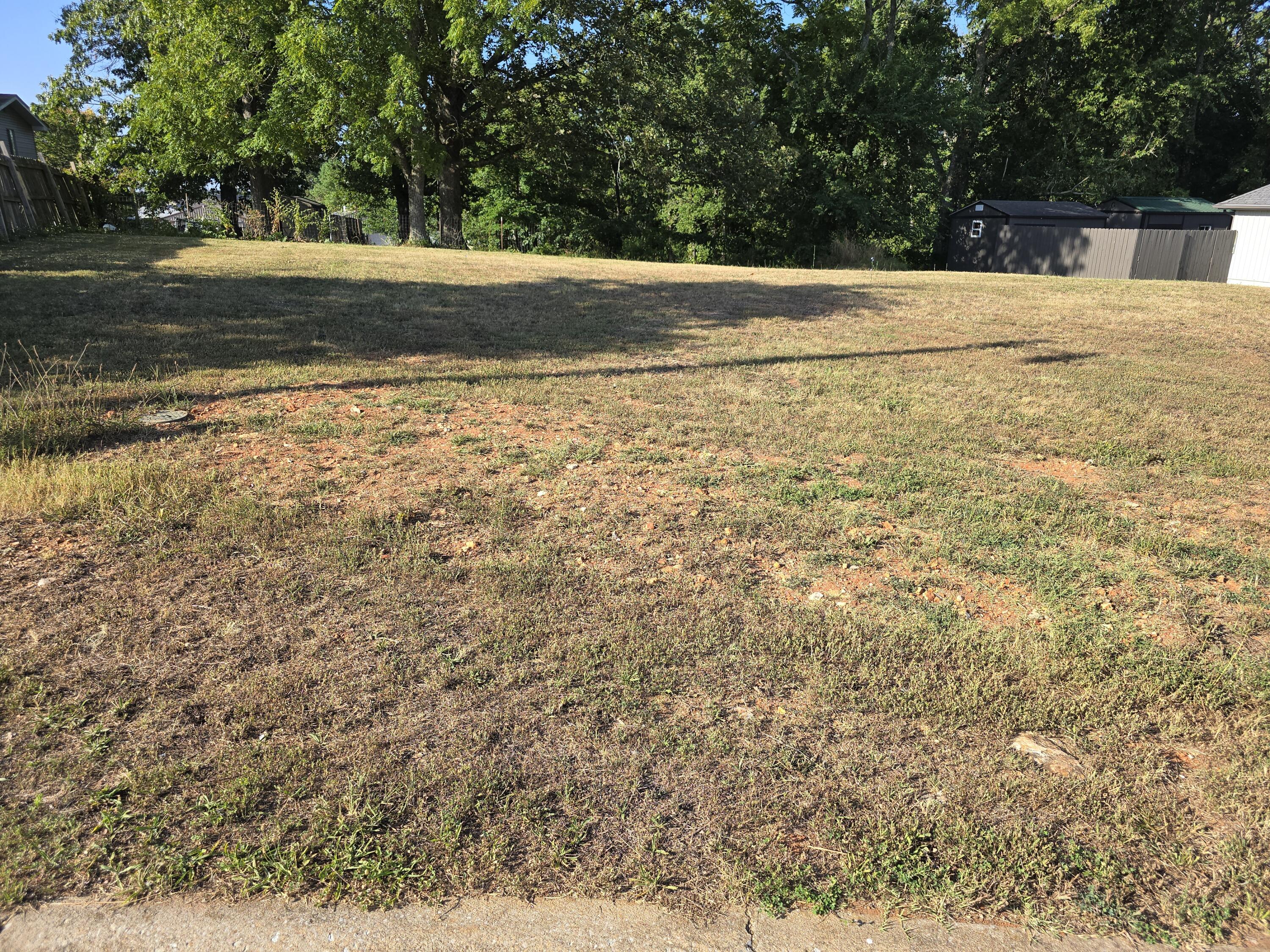 Lot 4 Echo Valley Circle Reeds Spring, MO 65737 - Photo 1 of 1 Level Lot with backyard trees