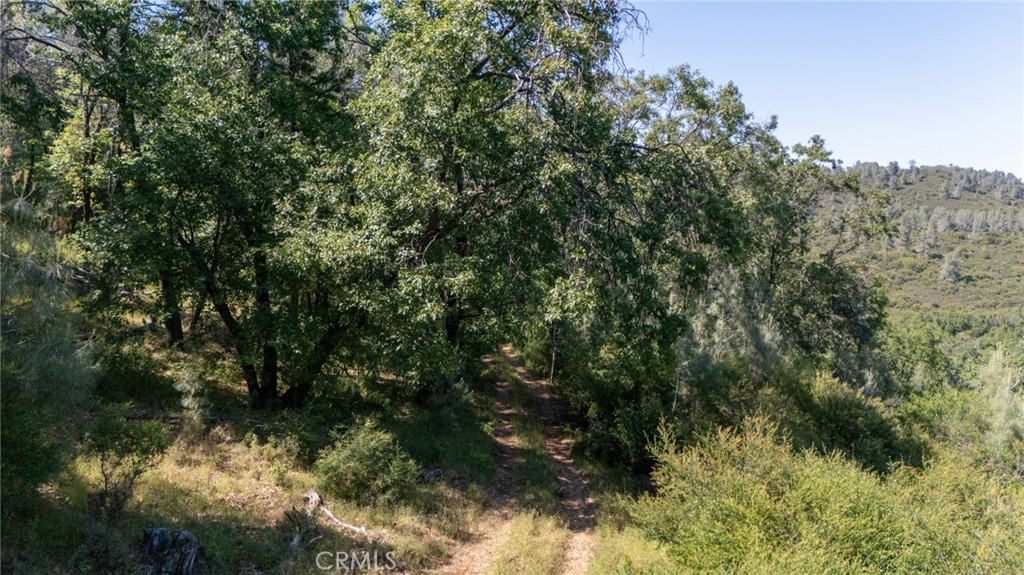 13520 Point Lakeview Road Lower Lake, CA 95457 - Photo 9 of 31