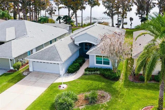 a aerial view of a house with a yard and potted plants