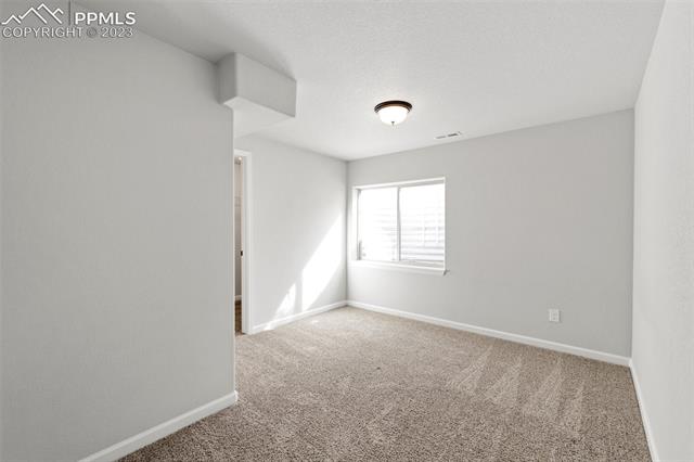 11427 Rill Point Colorado Springs, CO 80921 - Photo 29 of 42