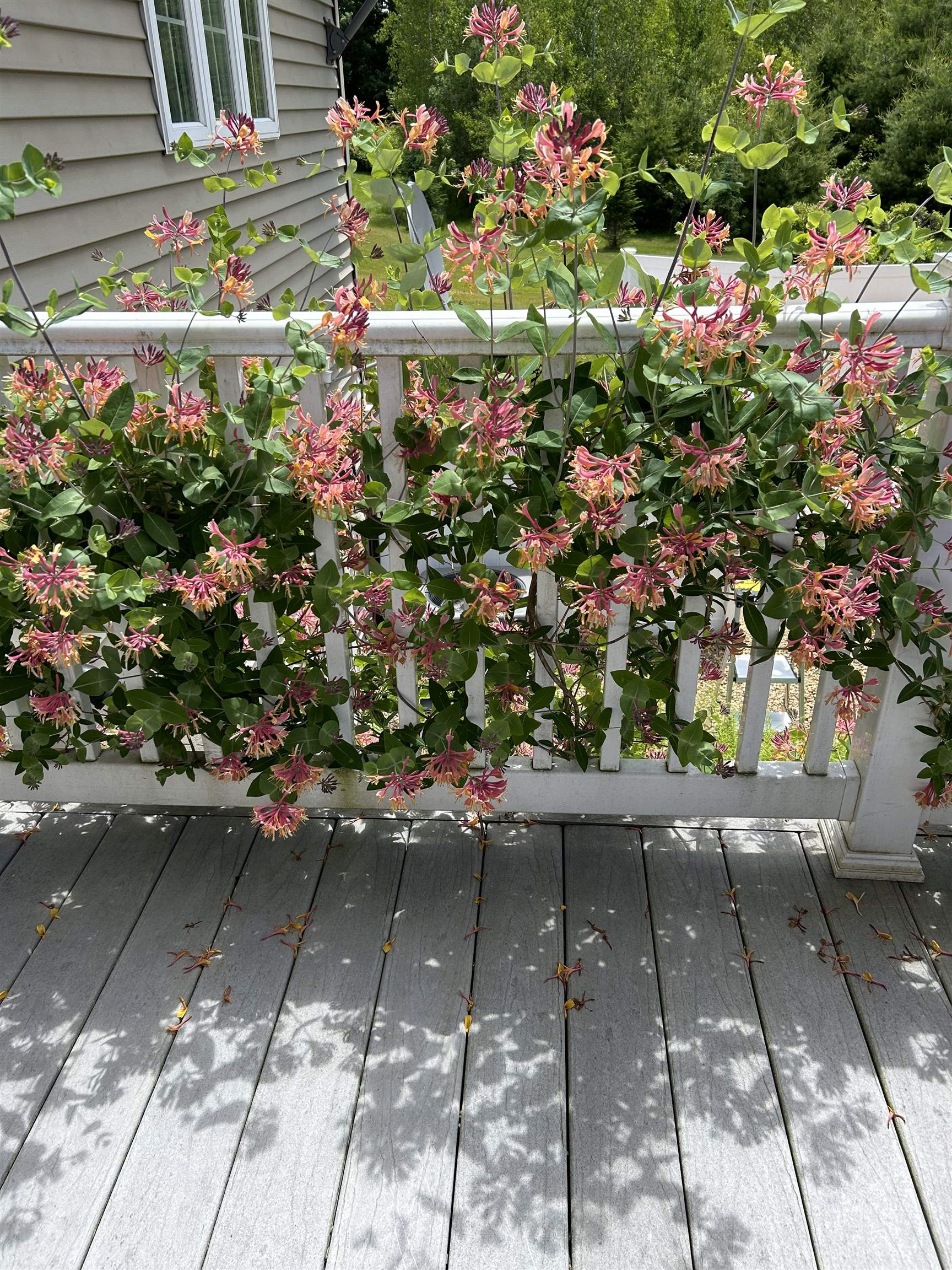 72 S Road Deerfield, NH 03037 - Photo 12 of 12