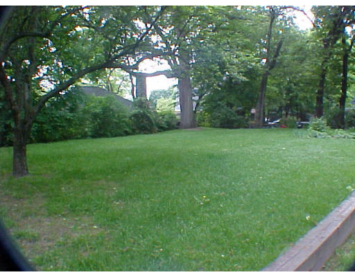 59 Kirkstall Road Newton, MA 02460 - Photo 9 of 9