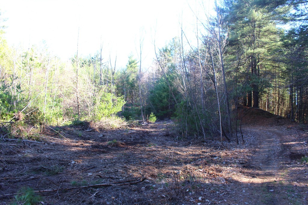 Lot 1 South Bolton Road Bolton, MA 01740 - Photo 4 of 8 Gallery Image 4